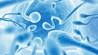 Sperm İçin Toksik, Öldürücü Maddeler