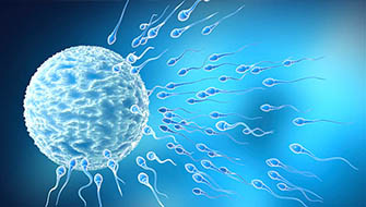 Sperm Sayısı Nasıl Artırılır
