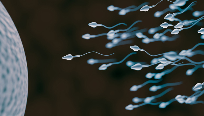Erkek İnfertilitesi ve Yardımcı Üreme Teknikleri