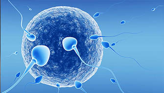 Spermde Şekil Bozukluğu
