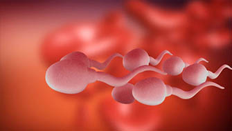 Sperm Azlığı Nedir, Belirtileri ve Nedenleri Nelerdir?